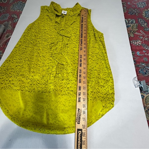 CAbi Green Ruffled Sleeveless Blouse with Bib Collar - Picture 5 of 5